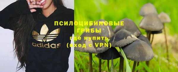 спайс Абдулино