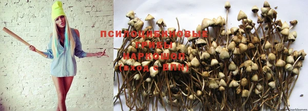 прущие крисы Сатка