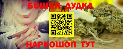 молекула духа Кингисепп