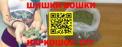 молекула духа Кингисепп