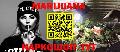 молекула духа Кингисепп