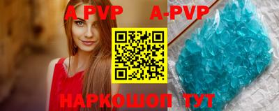 молекула духа Кингисепп