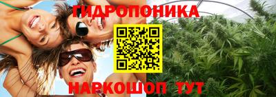 молекула духа Кингисепп