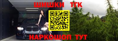молекула духа Кингисепп