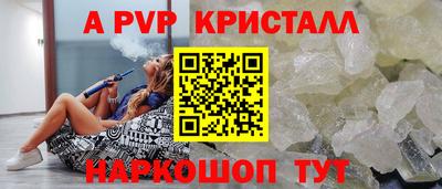 молекула духа Кингисепп