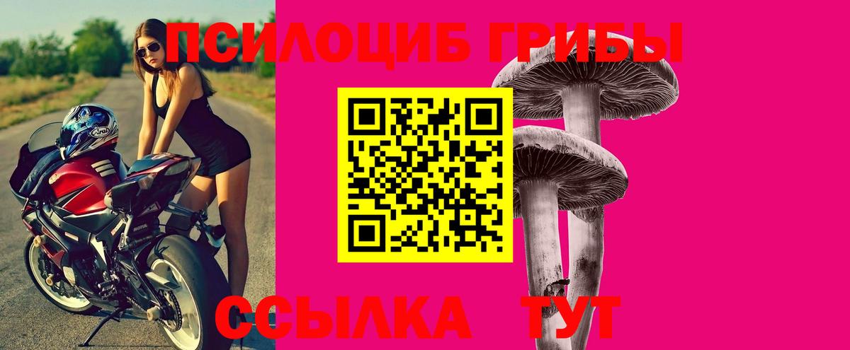 Псилоцибиновые грибы ЛСД  Псилоцибиновые грибы прущие грибы  Вход с VPN  Избербаш 