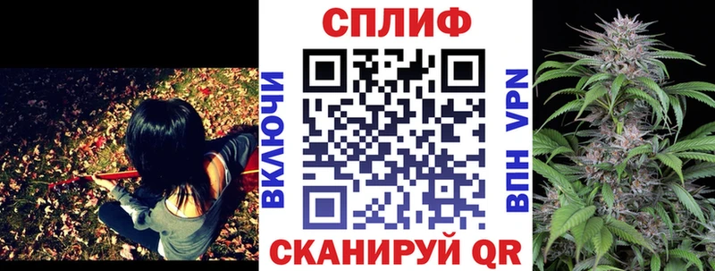 hydra как войти Избербаш Канабис сатива как найти закладки